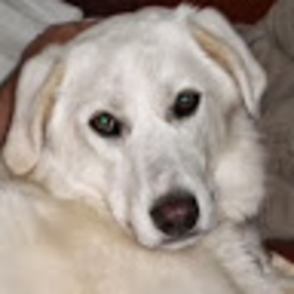 Meet your Posher, Wendy